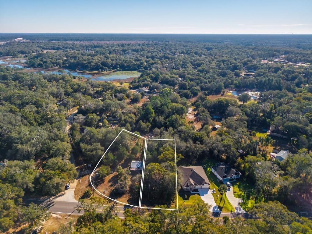 31060 Lochmore Circle Sorrento FL 32776 O6378439 image13