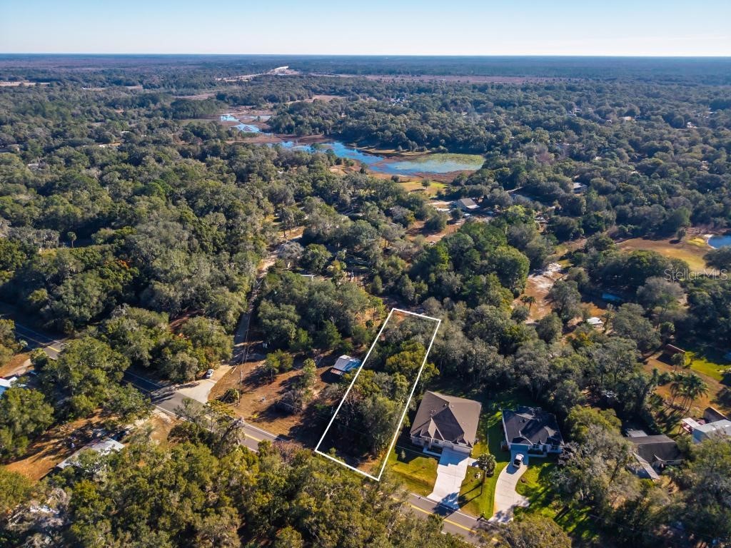 31060 Lochmore Circle Sorrento FL 32776 O6378439 image16