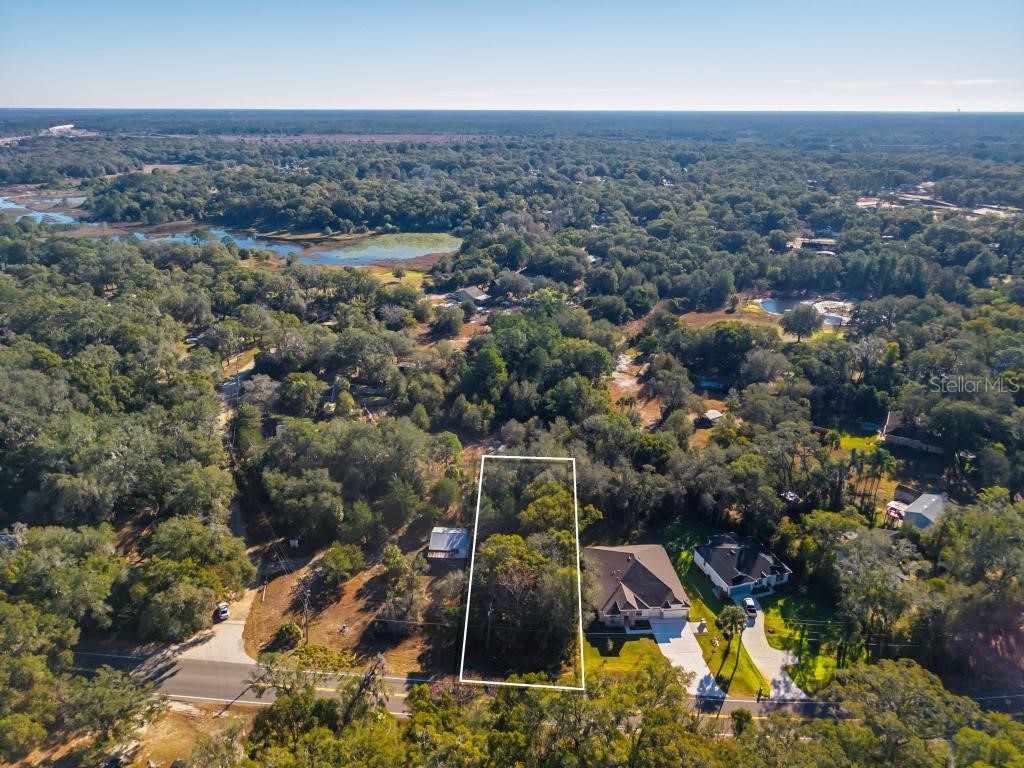 31060 Lochmore Circle Sorrento FL 32776 O6378439 image17