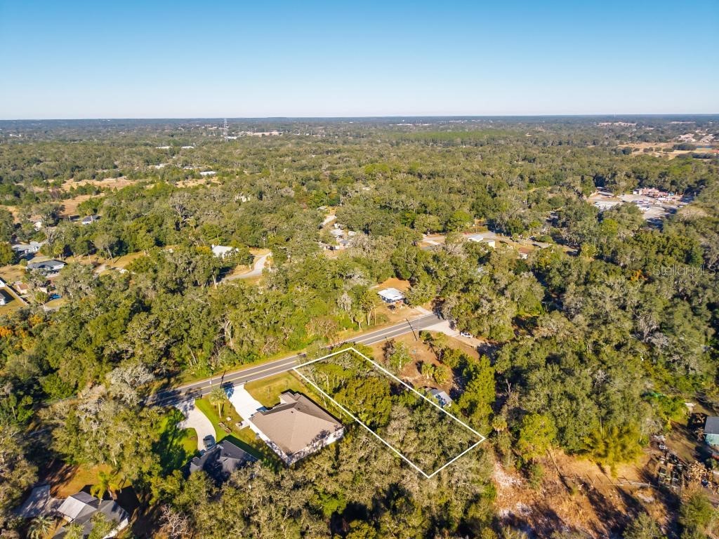 31060 Lochmore Circle Sorrento FL 32776 O6378439 image22