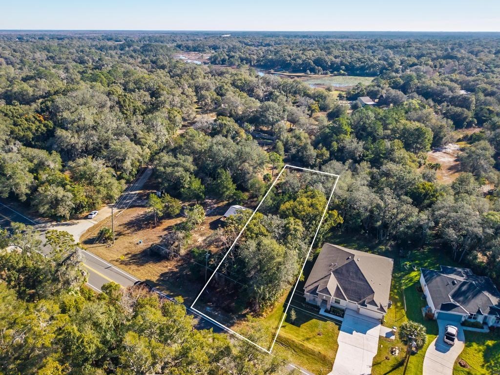 31060 Lochmore Circle Sorrento FL 32776 O6378439 image23