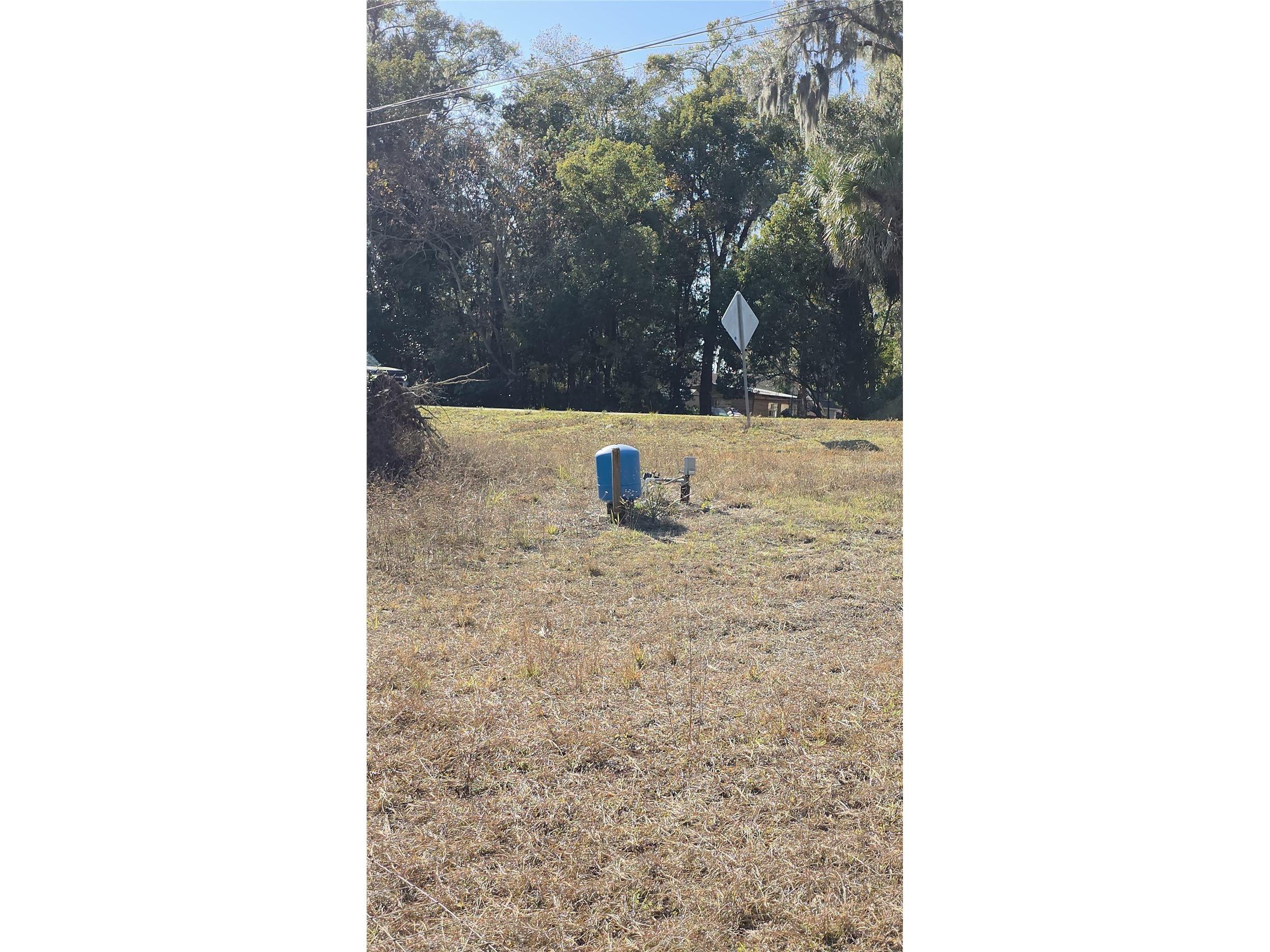 31060 Lochmore Circle Sorrento FL 32776 O6378439 image4