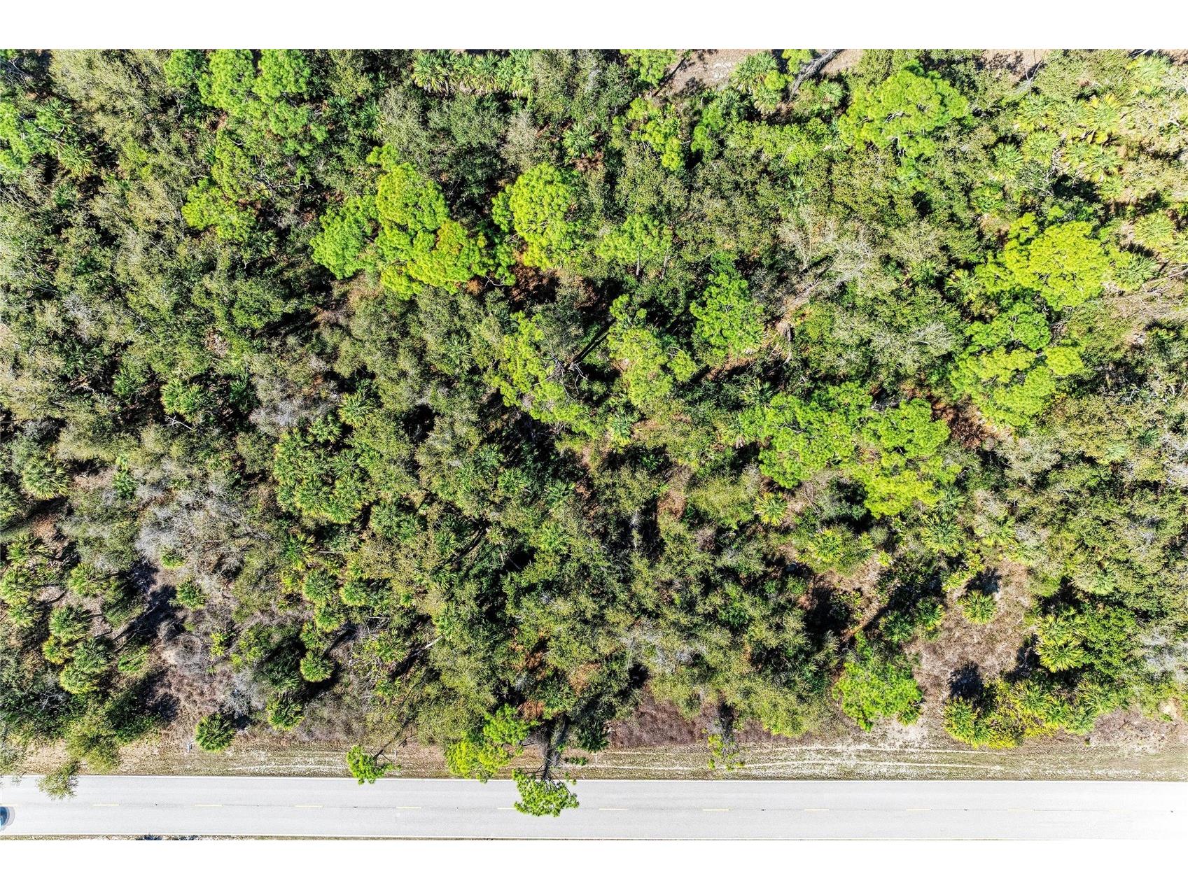 3107 Como Street Port Charlotte FL 33948 A4685157 image11