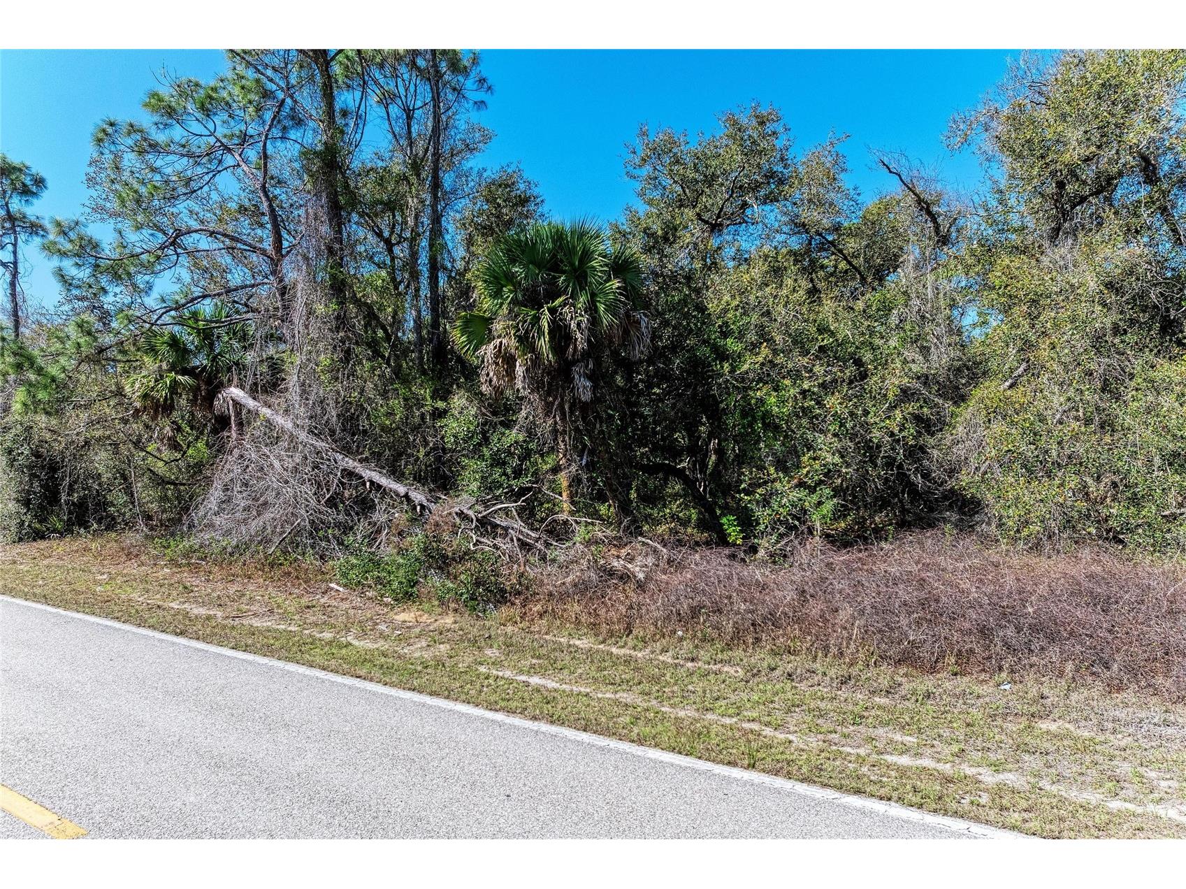 3107 Como Street Port Charlotte FL 33948 A4685157 image8