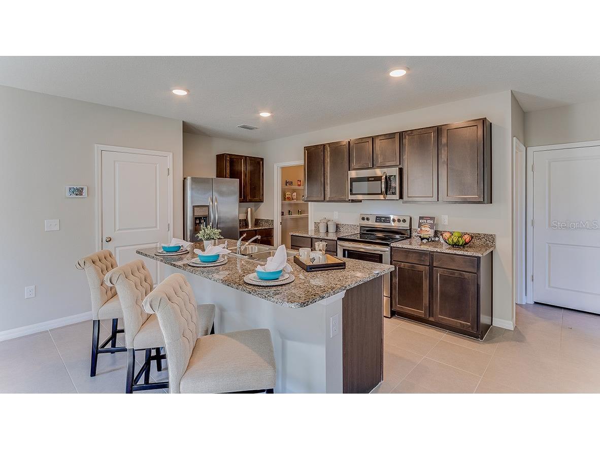 3107 Evenmore Way Wildwood FL 34785 OM708493 image4