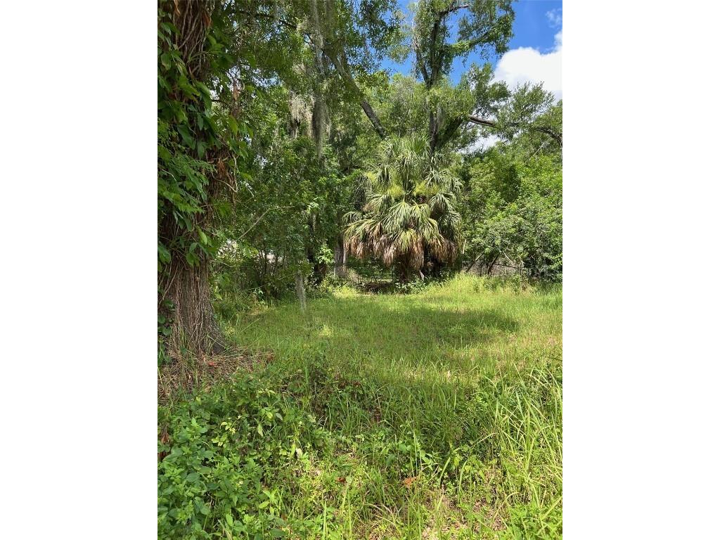 3107 N 76th Street Tampa FL 33619 T3535058 image1