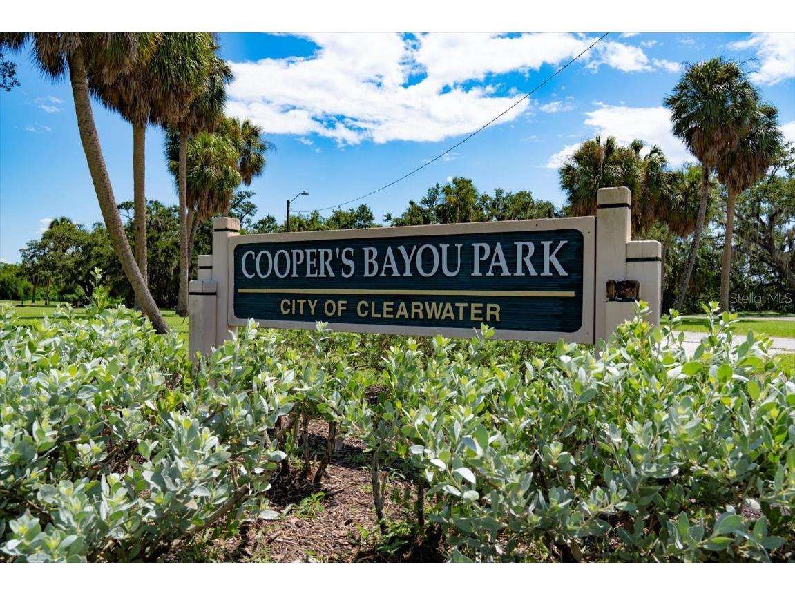 3107 Oyster Bayou Way Clearwater FL 33759 TB8411467 image31