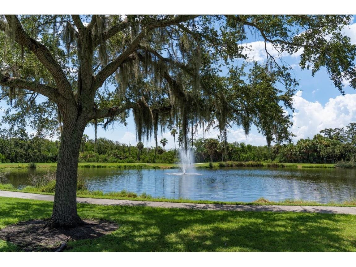 3107 Oyster Bayou Way Clearwater FL 33759 TB8411467 image32