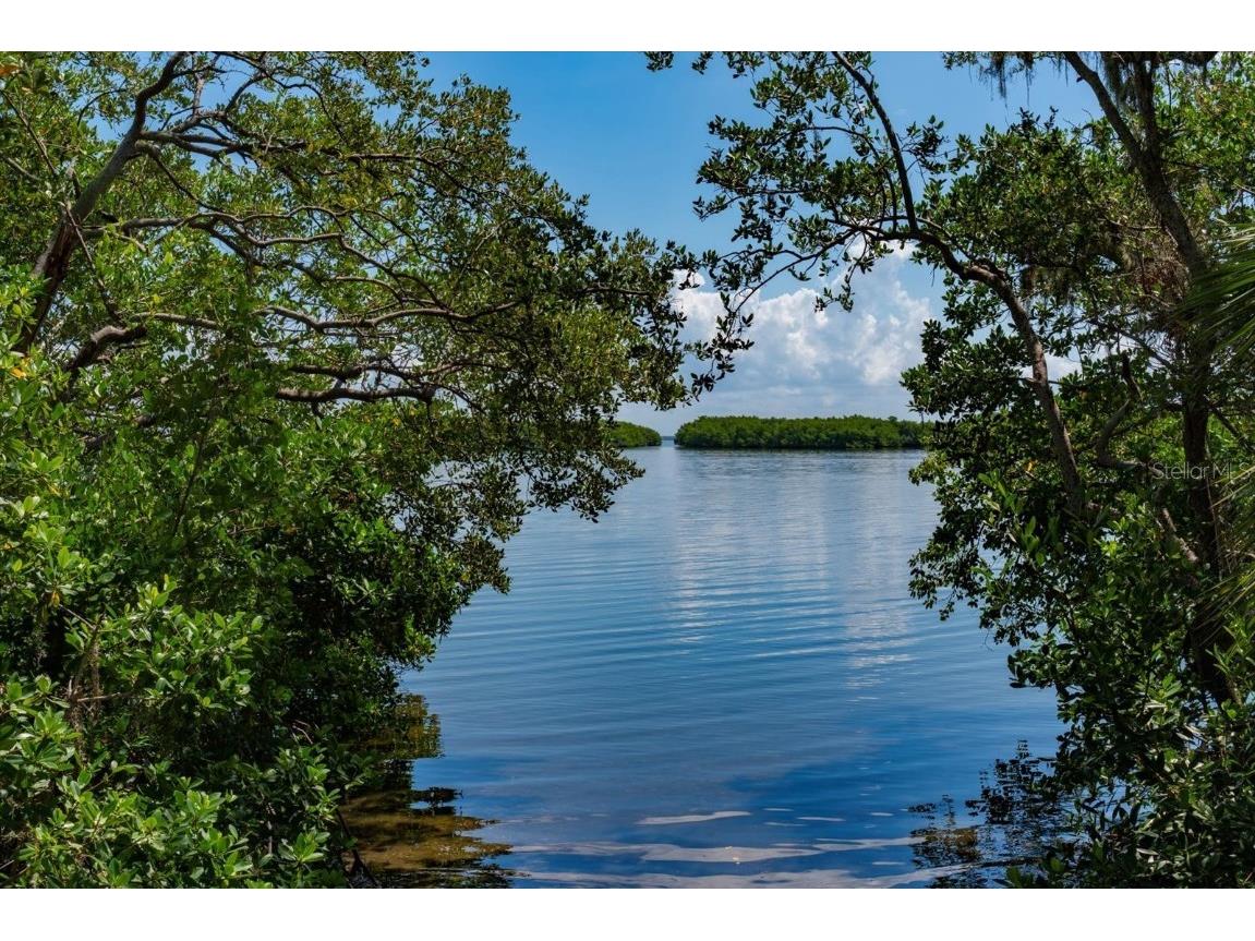 3107 Oyster Bayou Way Clearwater FL 33759 TB8411467 image33