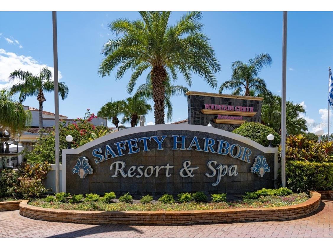 3107 Oyster Bayou Way Clearwater FL 33759 TB8411467 image43