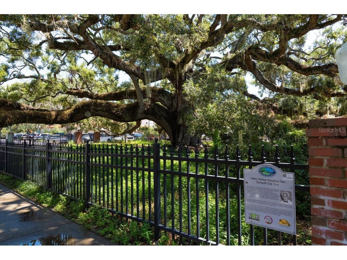 3107 Oyster Bayou Way Clearwater FL 33759 TB8411467 image46