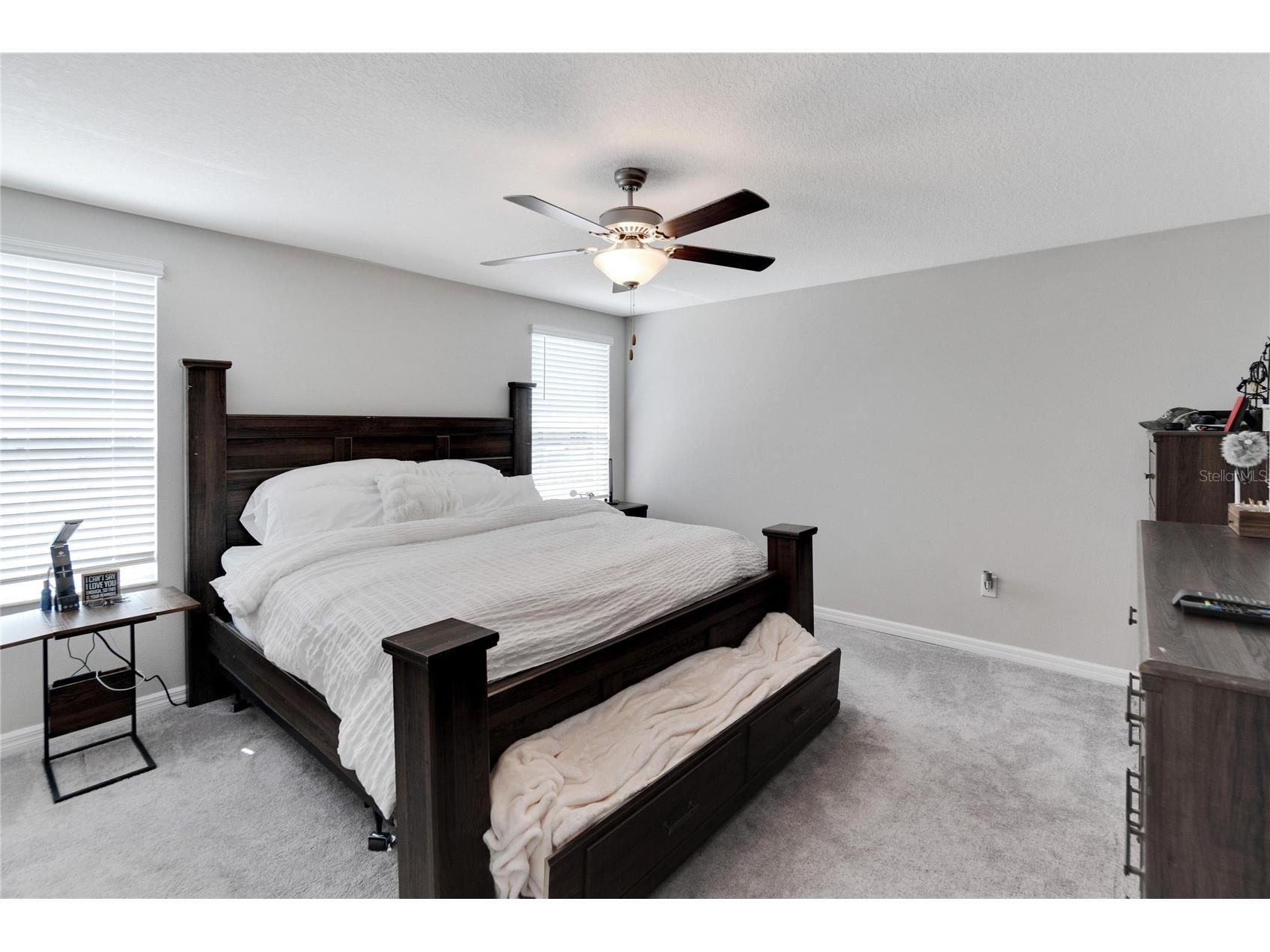 3107 Oyster Cove Street Wimauma FL 33598 TB8471456 image42