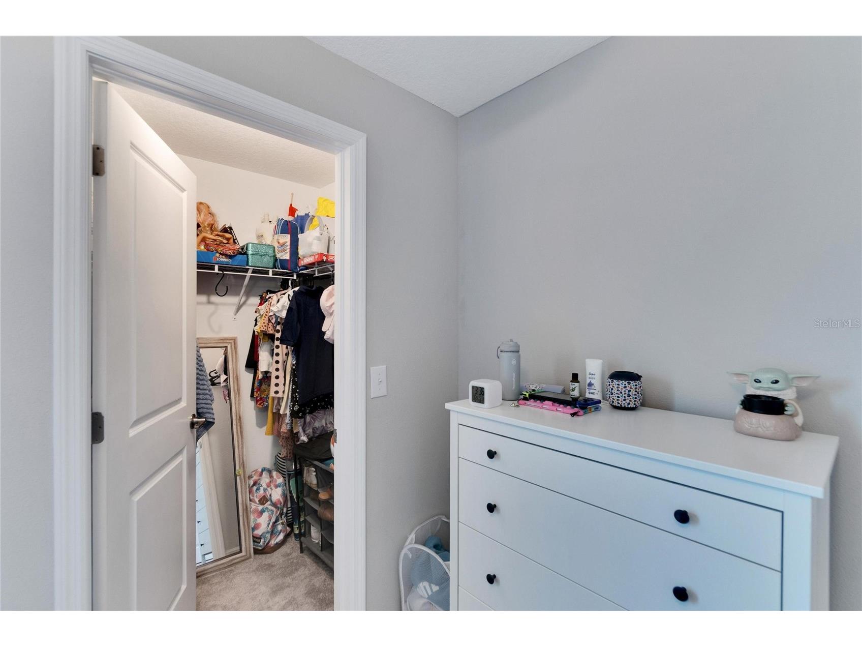 3107 Oyster Cove Street Wimauma FL 33598 TB8471456 image61