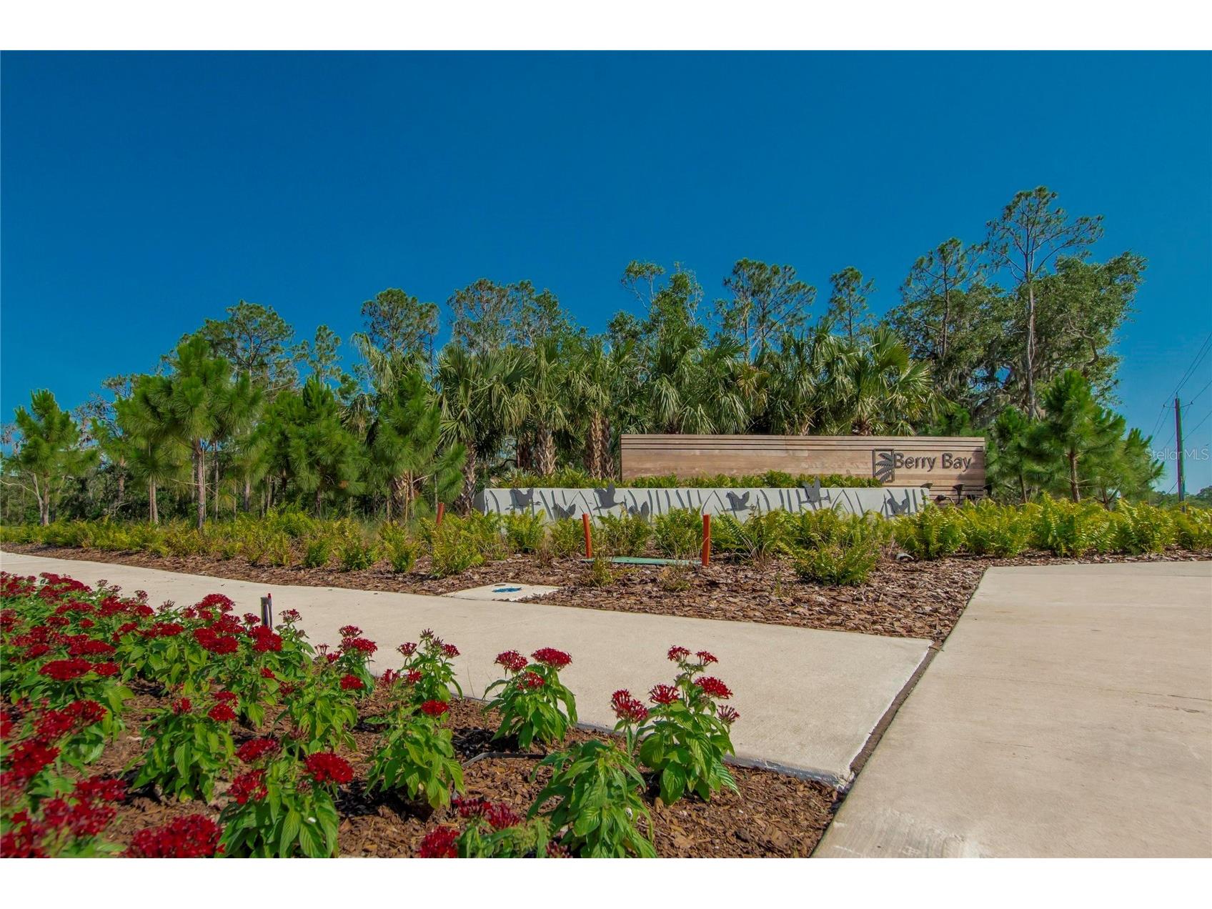 3107 Oyster Cove Street Wimauma FL 33598 TB8471456 image69