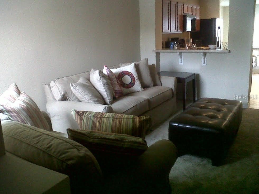 3107 Seaview Castle Drive Kissimmee FL 34746 O6391887 image5