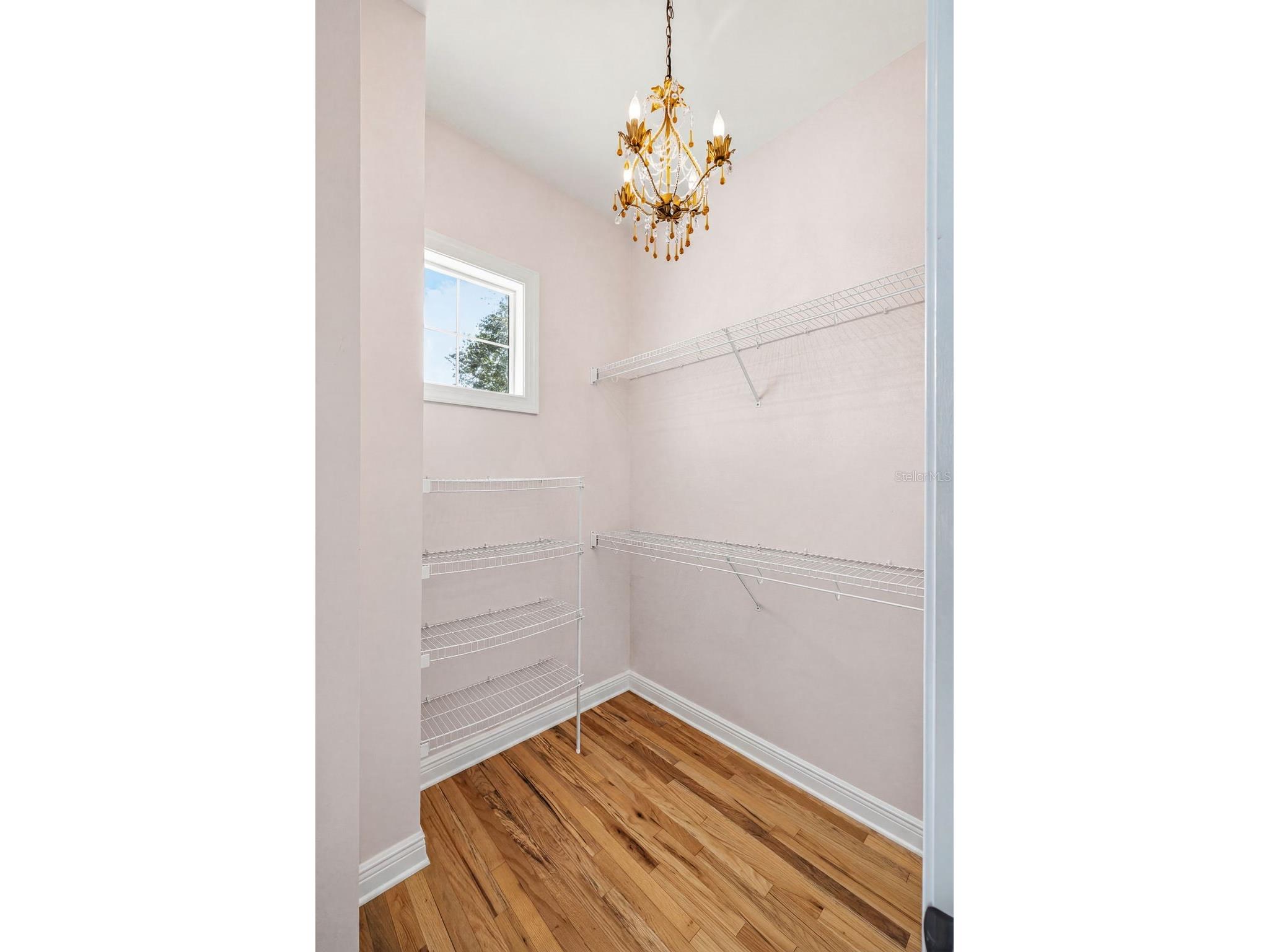 3107 W Fountain Boulevard Tampa FL 33609 TB8507616 image44