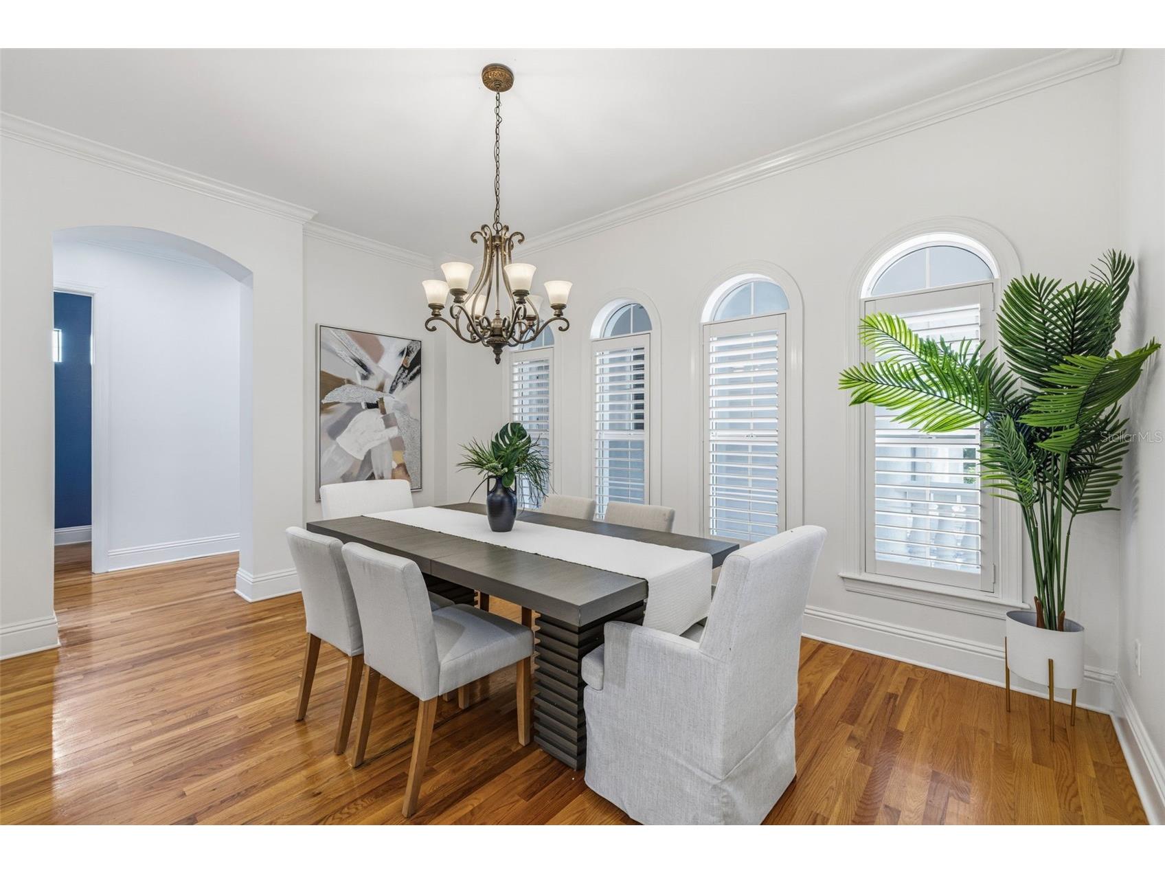 3107 W Fountain Boulevard Tampa FL 33609 TB8507616 image8