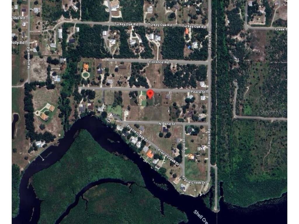 31073 Peace Street Punta Gorda FL 33982 D6140306 image4