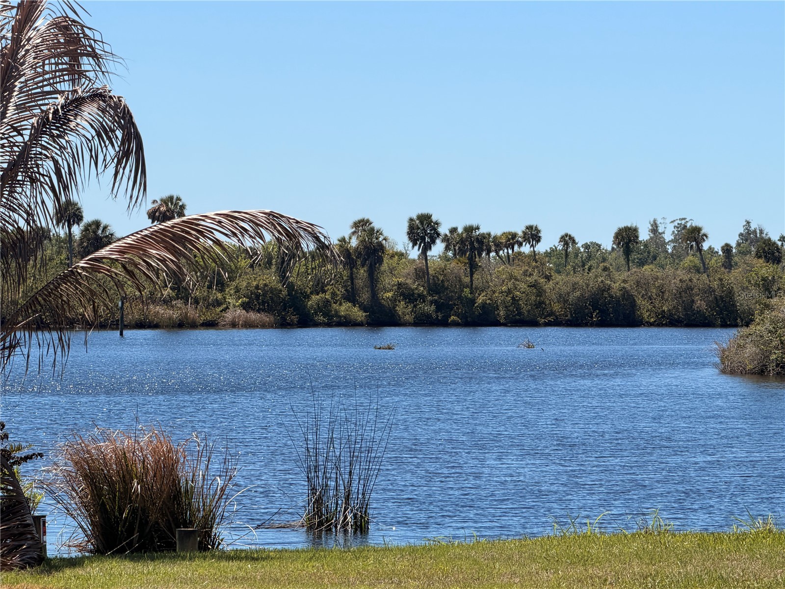 31073 Peace Street Punta Gorda FL 33982 TB8489262 image13