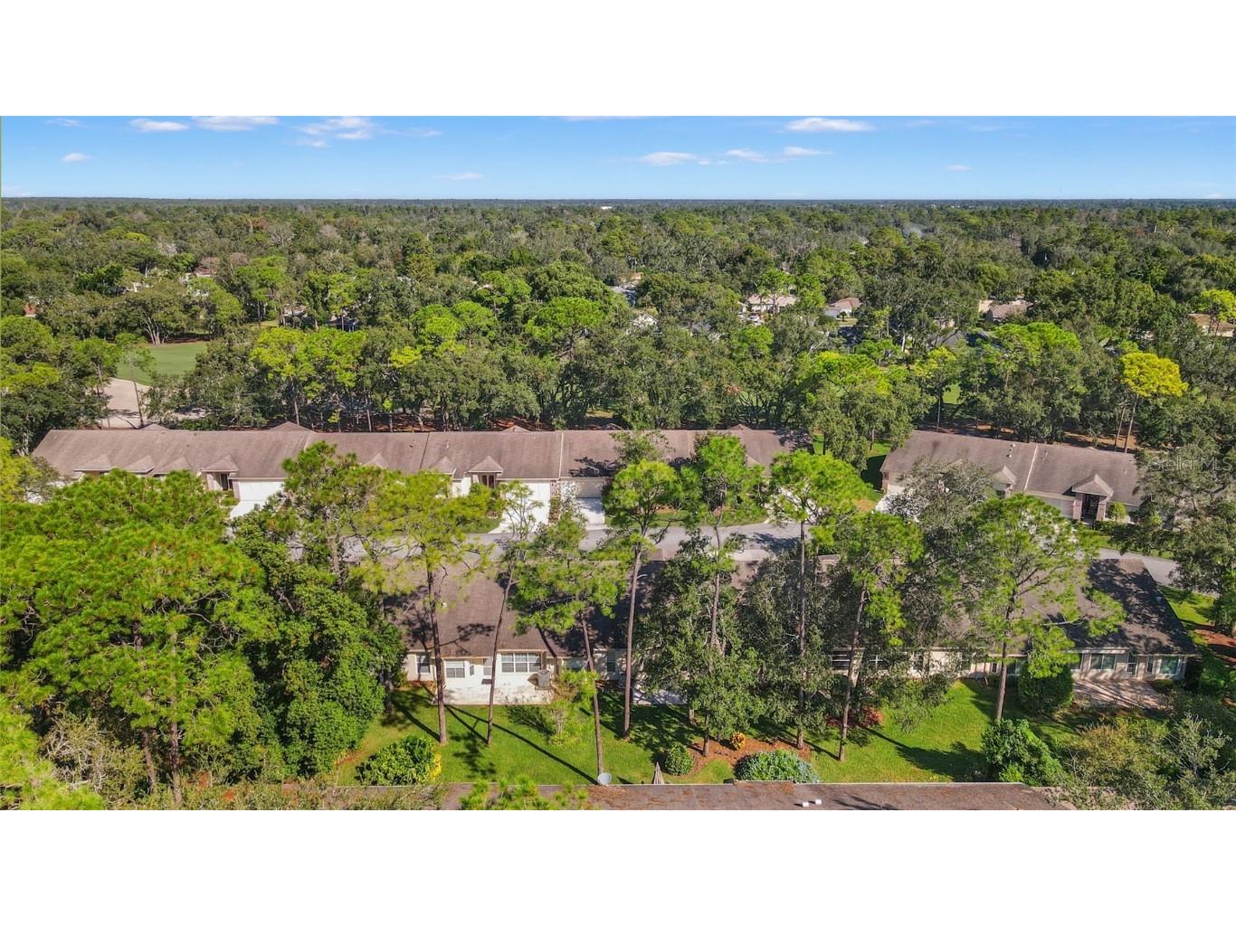 3108 Appleblossom Trail Spring Hill FL 34606 W7879147 image48