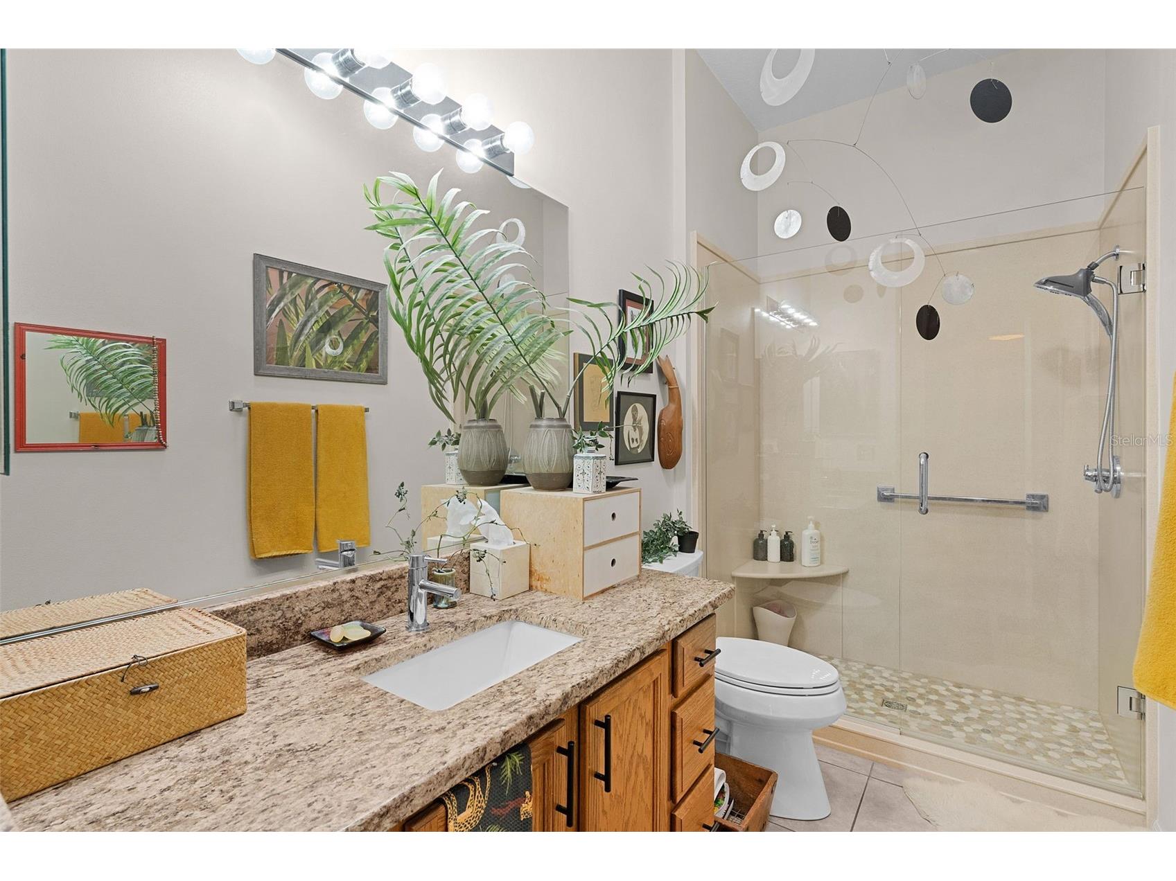 3108 Carrollton Court The Villages FL 32162 G5103727 image25