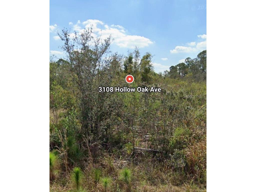 3108 Hollow Oak Avenue Lake Placid FL 33852 P4936194 image1
