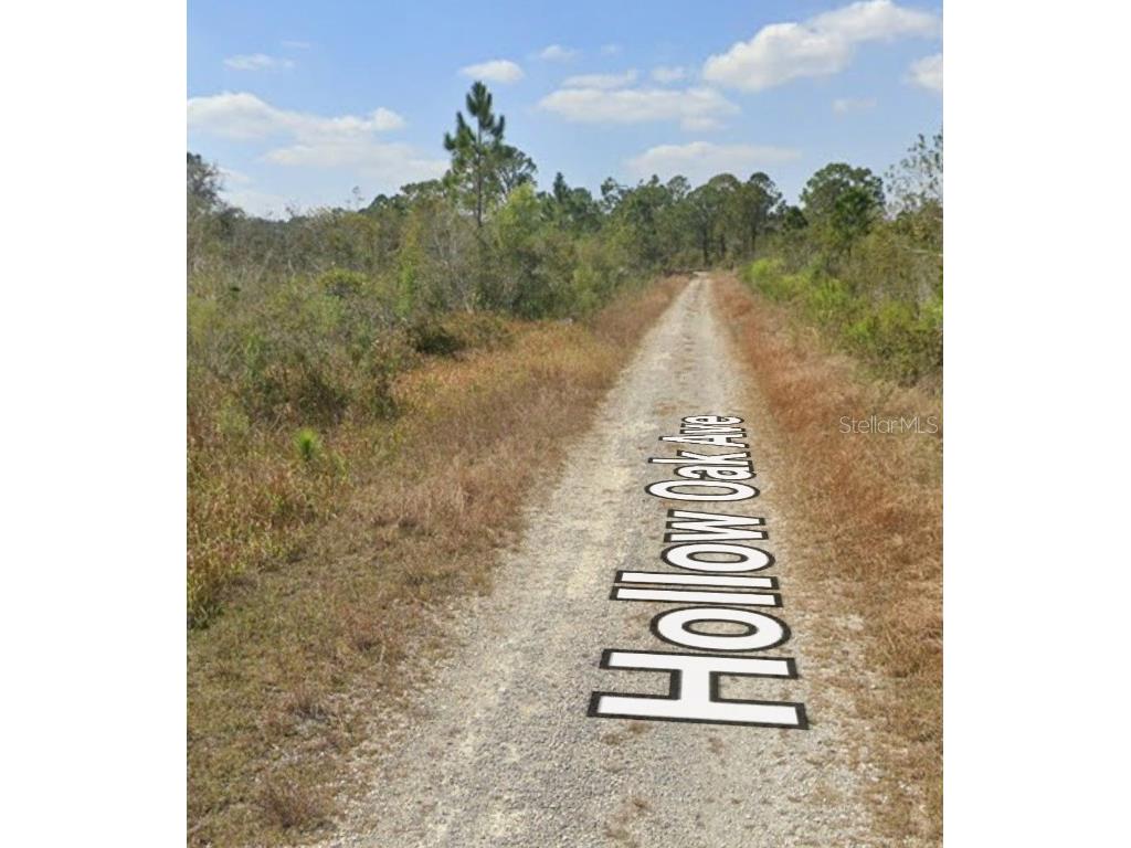 3108 Hollow Oak Avenue Lake Placid FL 33852 P4936194 image2