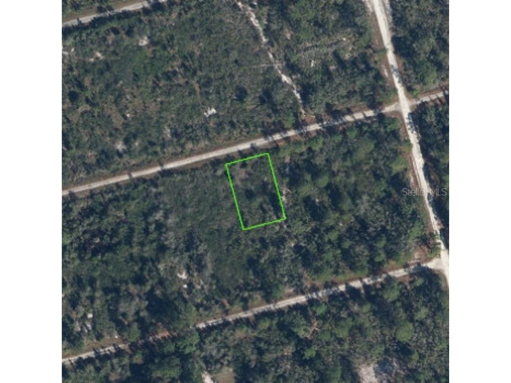3108 Hollow Oak Avenue Lake Placid FL 33852 P4936194 image3