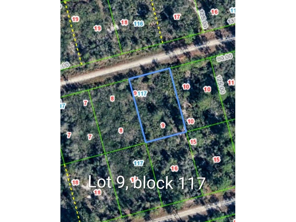 3108 Hollow Oak Avenue Lake Placid FL 33852 P4936194 image4
