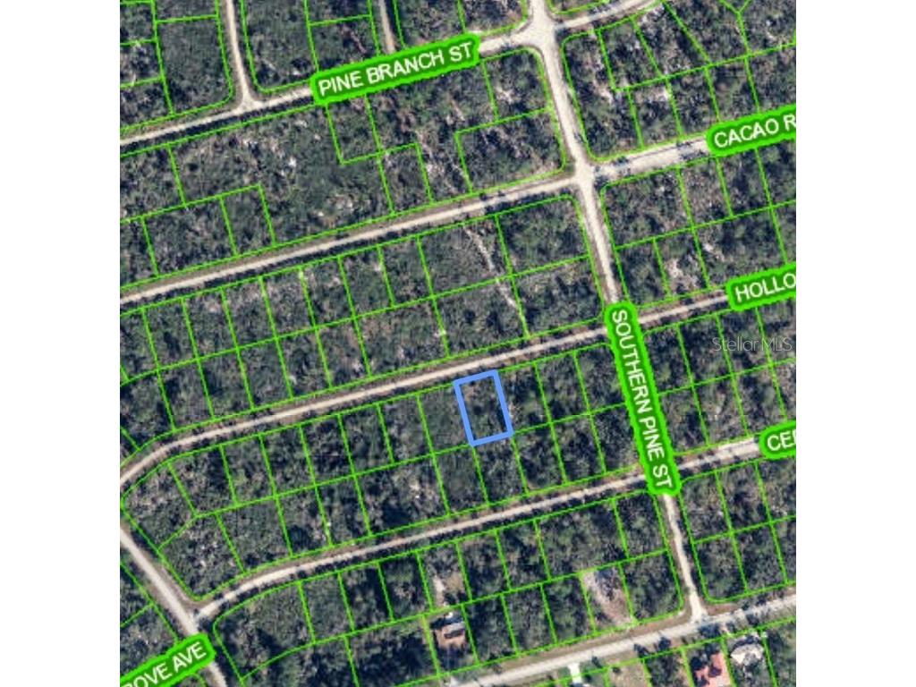 3108 Hollow Oak Avenue Lake Placid FL 33852 P4936194 image6