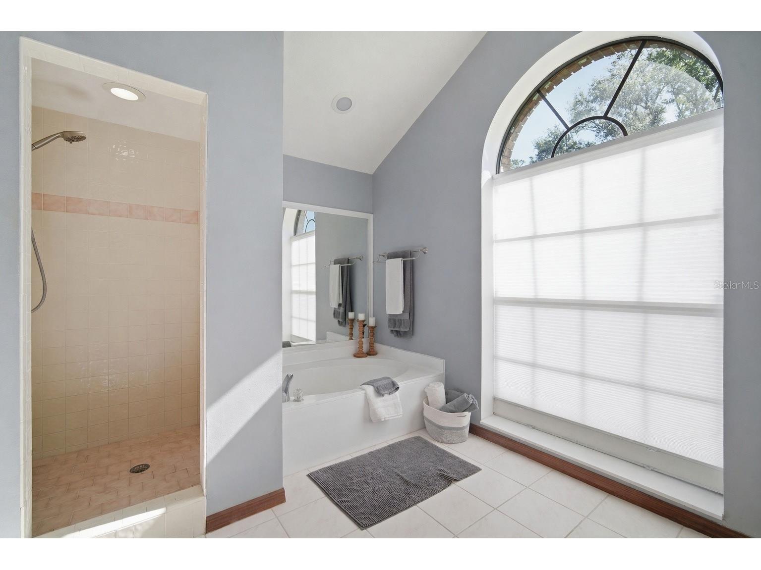 3108 Rolling Acres Place Valrico FL 33596 TB8497468 image21