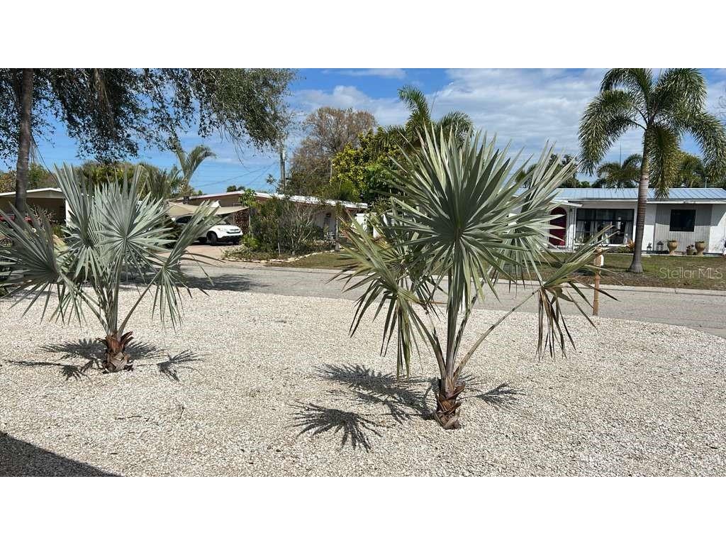 3108 Smith Avenue Bradenton FL 34207 TB8430823 image59