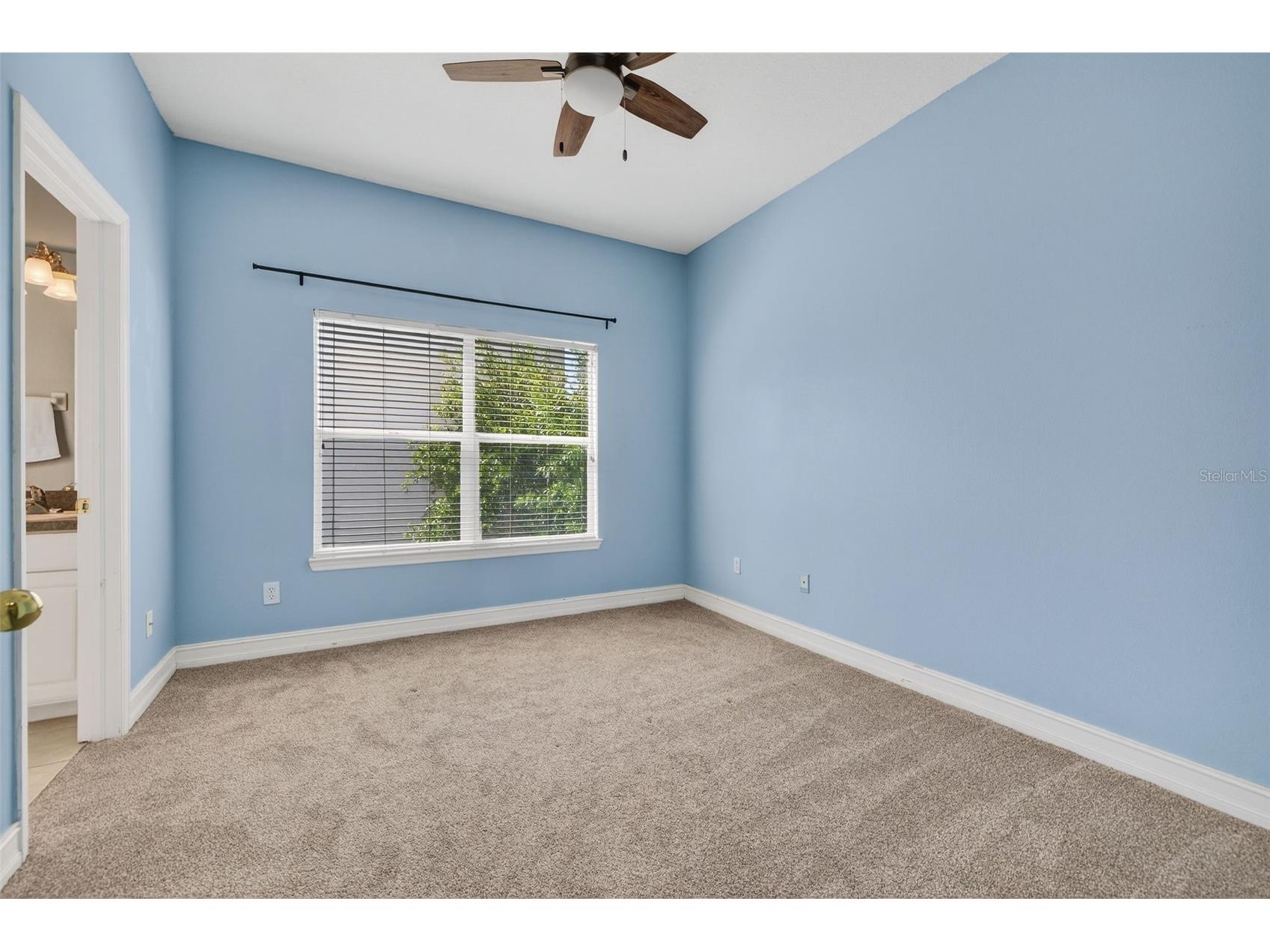 3108 Toscana Circle Tampa FL 33611 TB8496748 image18