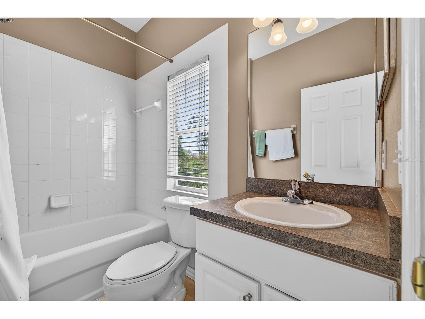 3108 Toscana Circle Tampa FL 33611 TB8496748 image19
