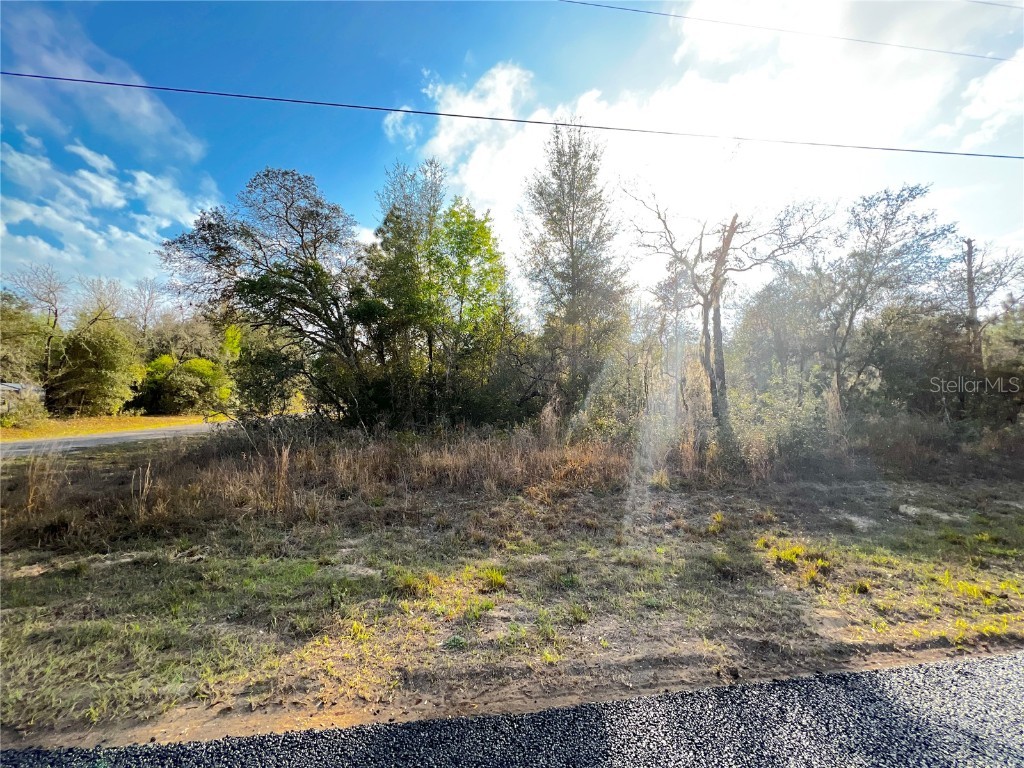 3108 W Hamlet Place Citrus Springs FL 34433 OM635282 image1