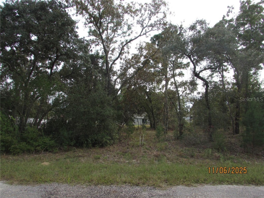 3108 W Randolph Lane Citrus Springs FL 34433 O6360376 image1