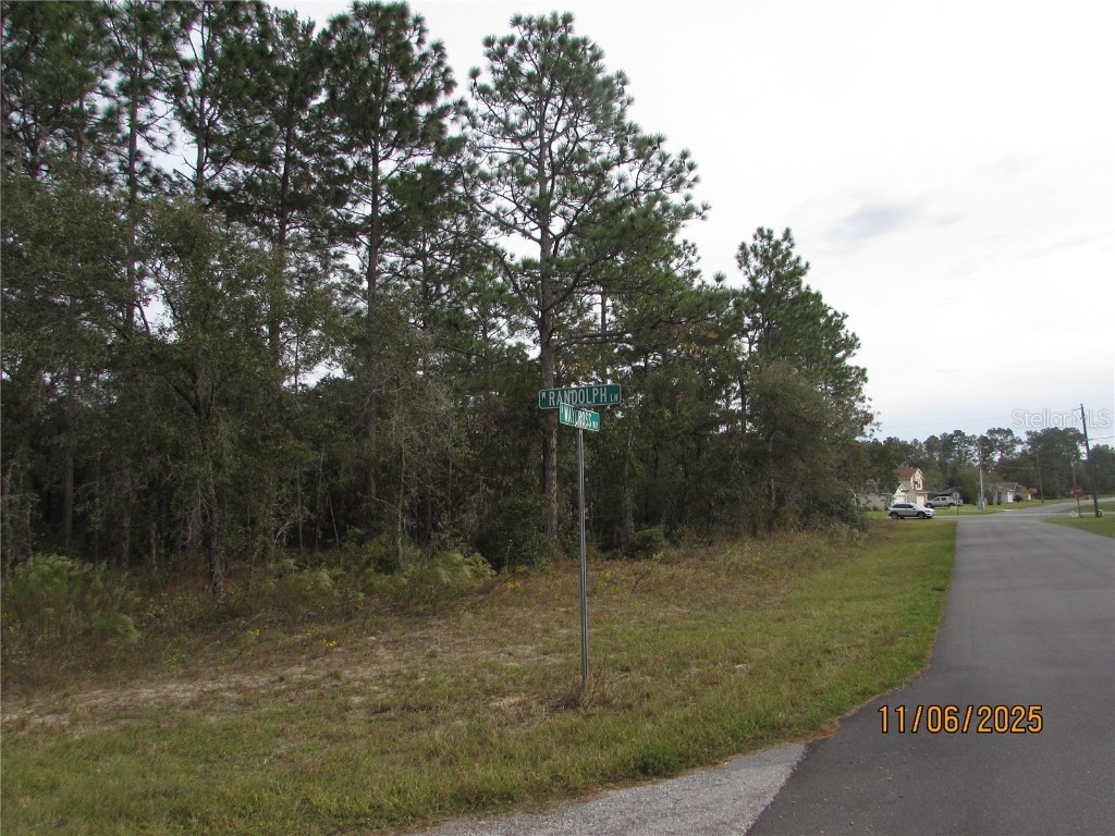 3108 W Randolph Lane Citrus Springs FL 34433 O6360376 image3