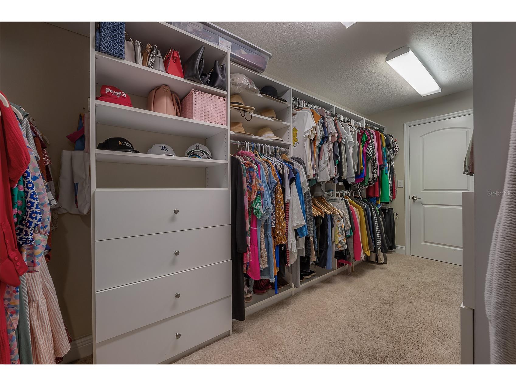 3108 W Villa Rosa Street Tampa FL 33611 TB8518335 image29
