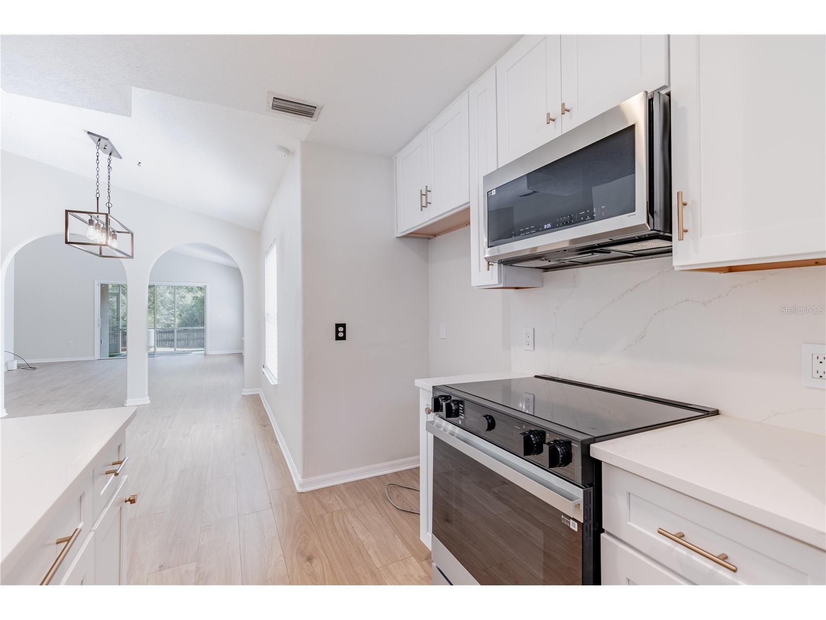 31080 Lochmore Circle Sorrento FL 32776 G5112308 image11