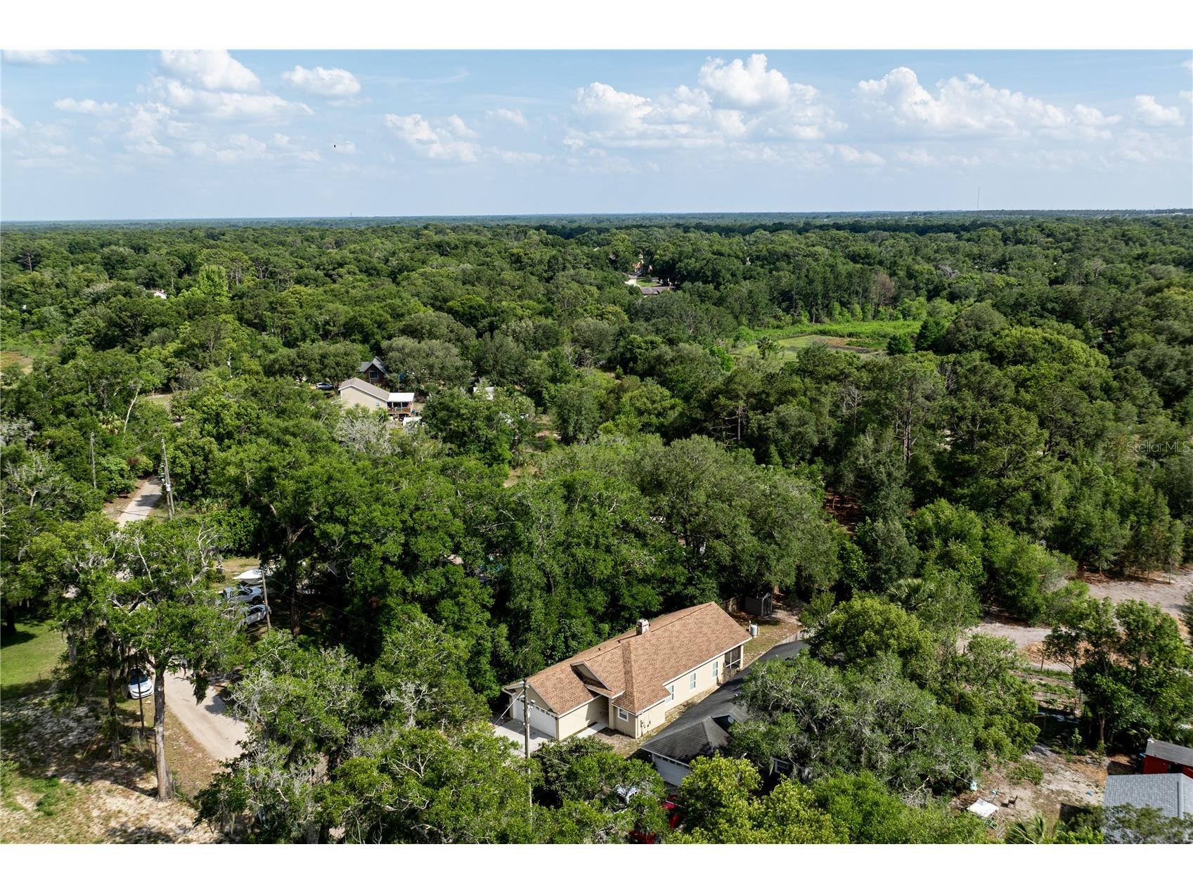 31080 Lochmore Circle Sorrento FL 32776 G5112308 image32