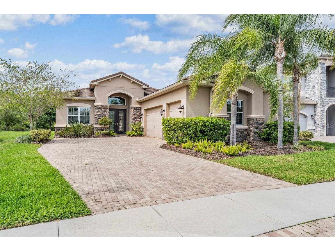 31081 Chesapeake Bay Drive Wesley Chapel FL 33543 T3514852 image1