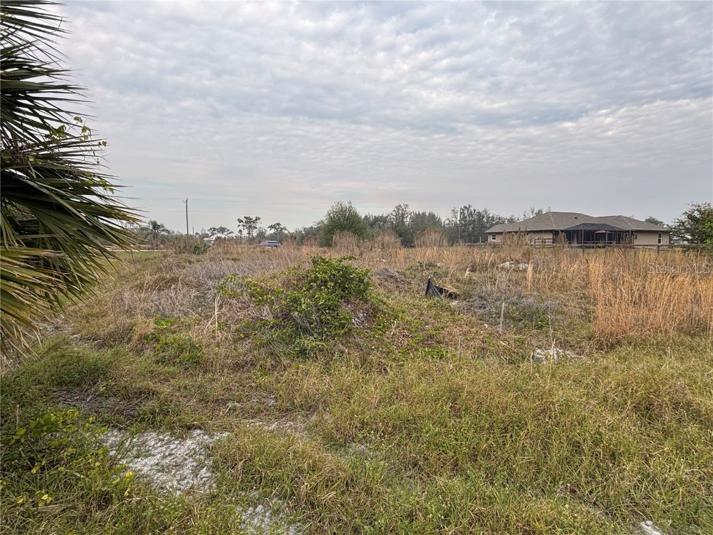 31083 Peace Street Punta Gorda FL 33982 C7503095 image3