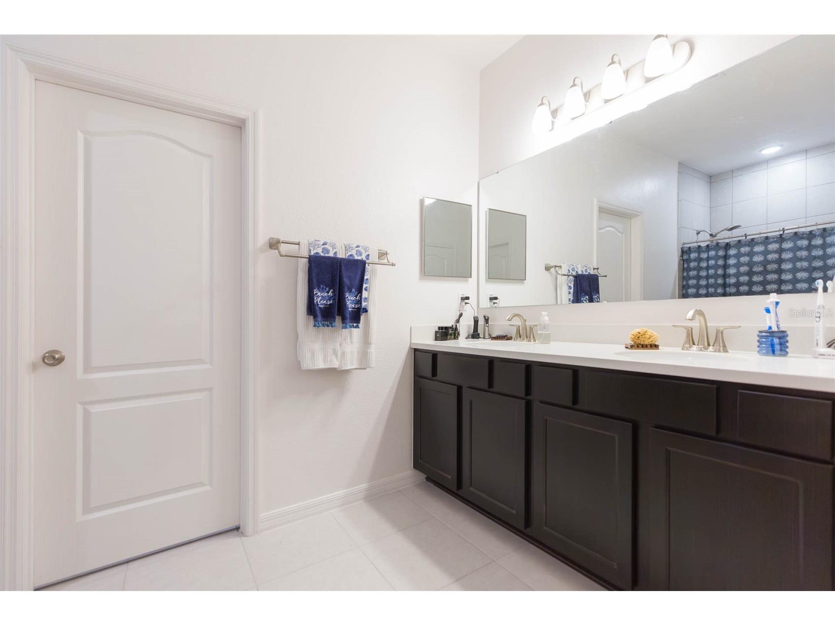 31088 Jazz Leaf Place San Antonio FL 33576 TB8457078 image28