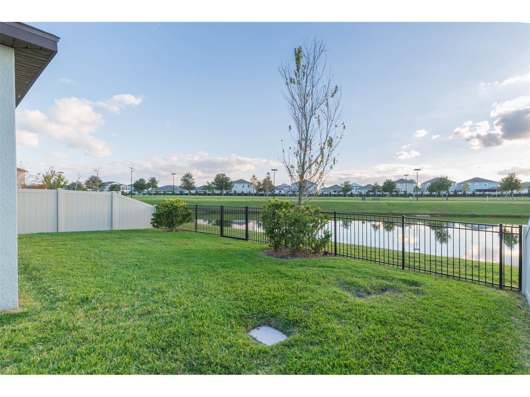 31088 Jazz Leaf Place San Antonio FL 33576 TB8457078 image38