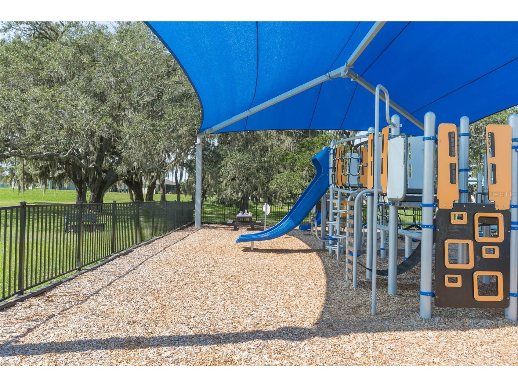 31088 Jazz Leaf Place San Antonio FL 33576 TB8457078 image63