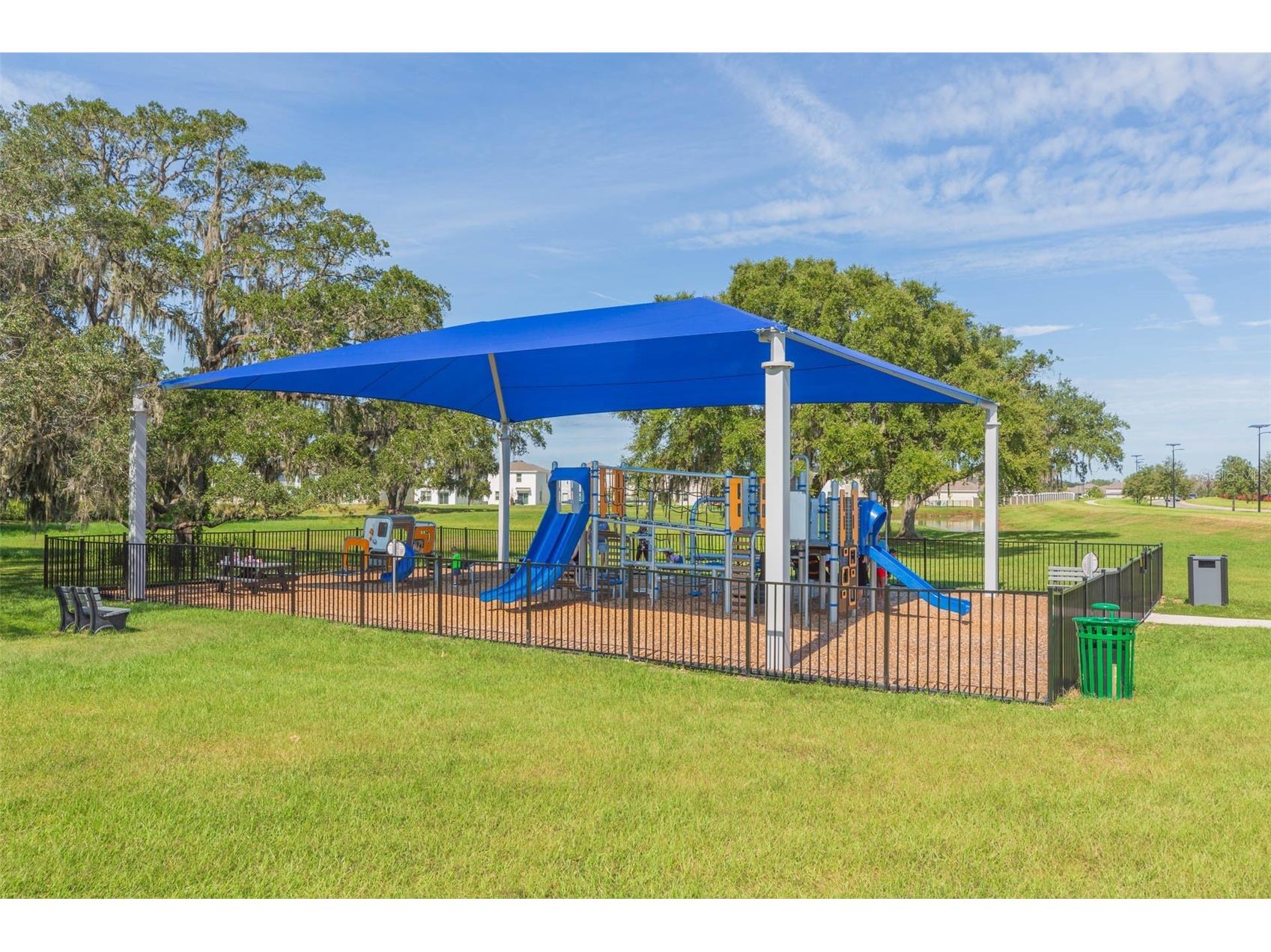 31088 Jazz Leaf Place San Antonio FL 33576 TB8457078 image65