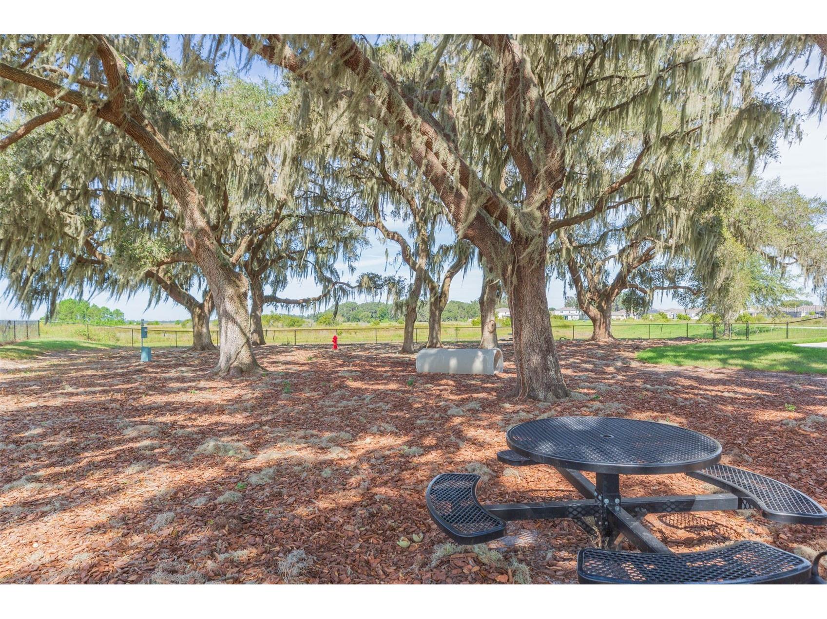 31088 Jazz Leaf Place San Antonio FL 33576 TB8457078 image68