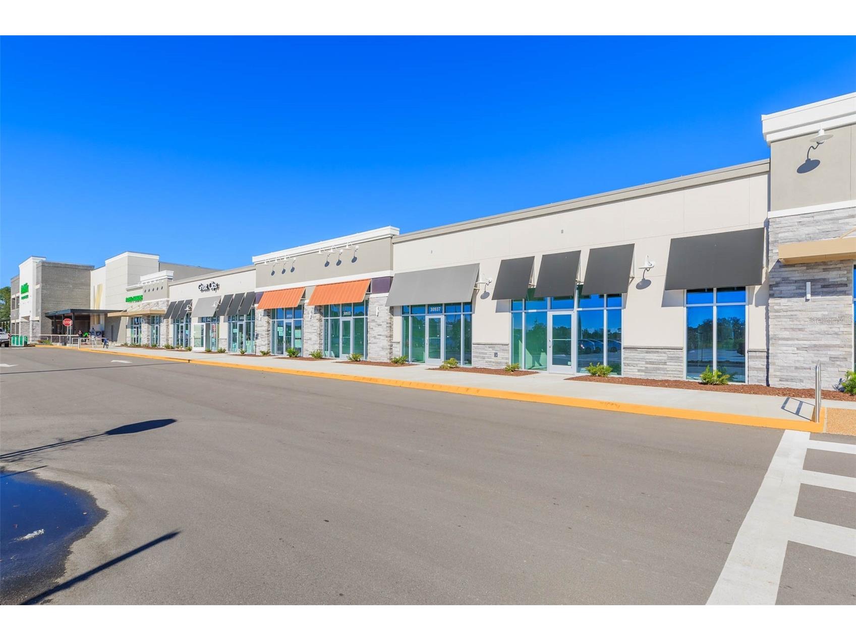 31088 Jazz Leaf Place San Antonio FL 33576 TB8457078 image94