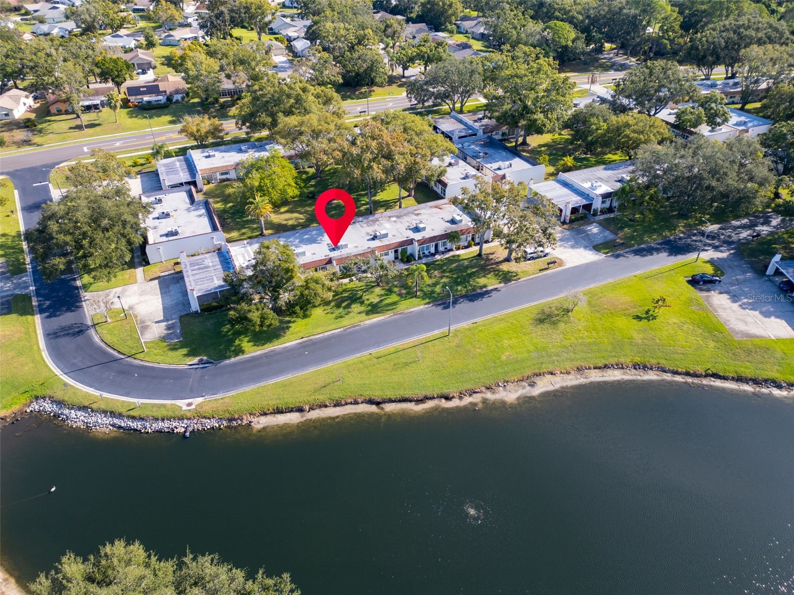 3109 Mission Grove Drive #D Palm Harbor FL 34684 TB8447950 image1