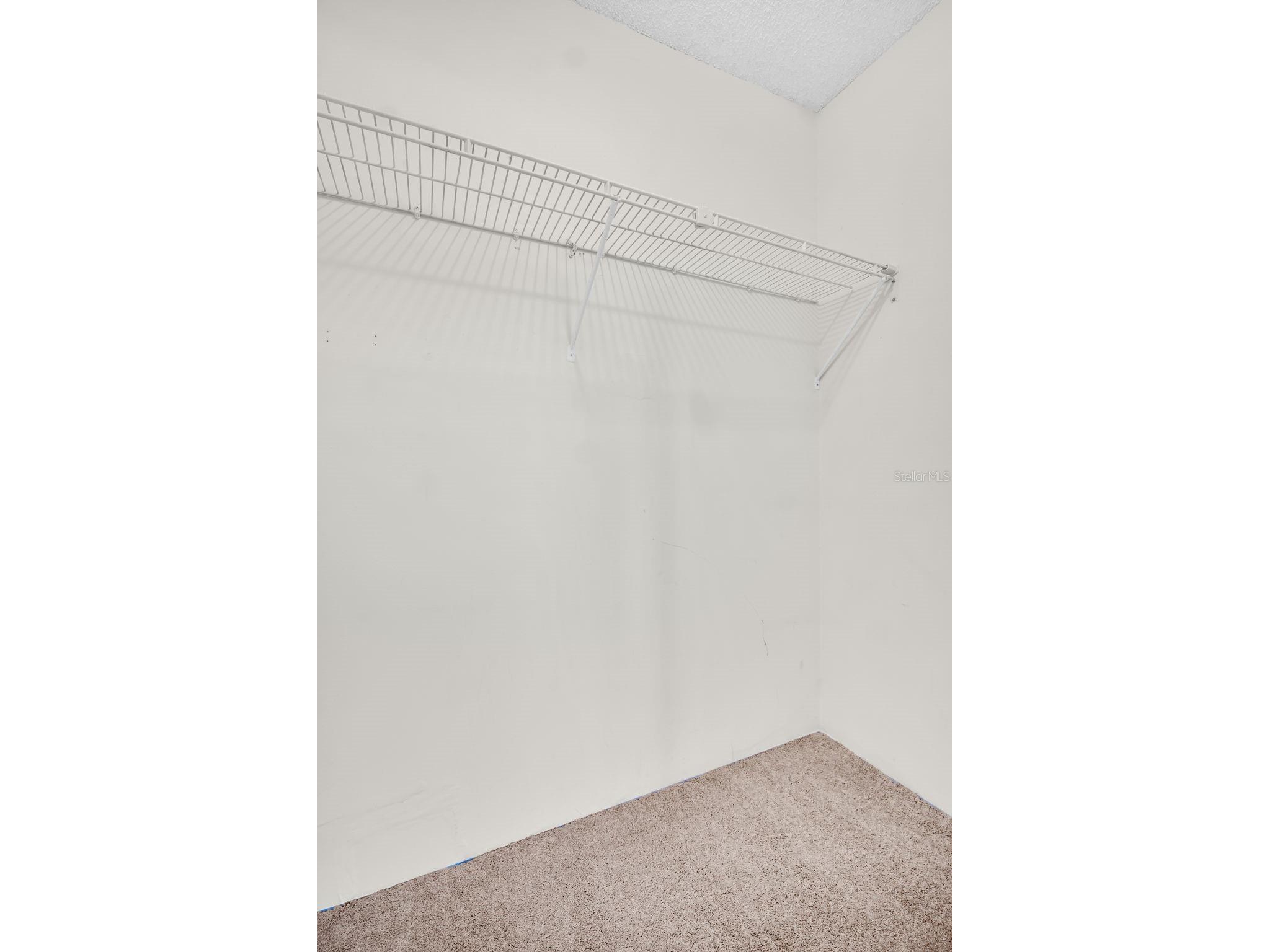 3109 Mission Grove Drive #D Palm Harbor FL 34684 TB8447950 image16